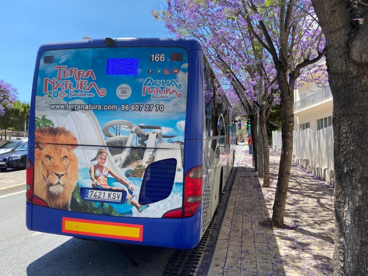 Apartment San Carlos Alicante II 外观 照片